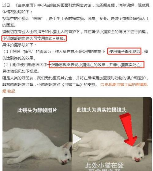 群演爆料大全视频下载,揭秘影视幕后那些事儿 第3张 群演爆料大全视频下载,揭秘影视幕后那些事儿 第3张